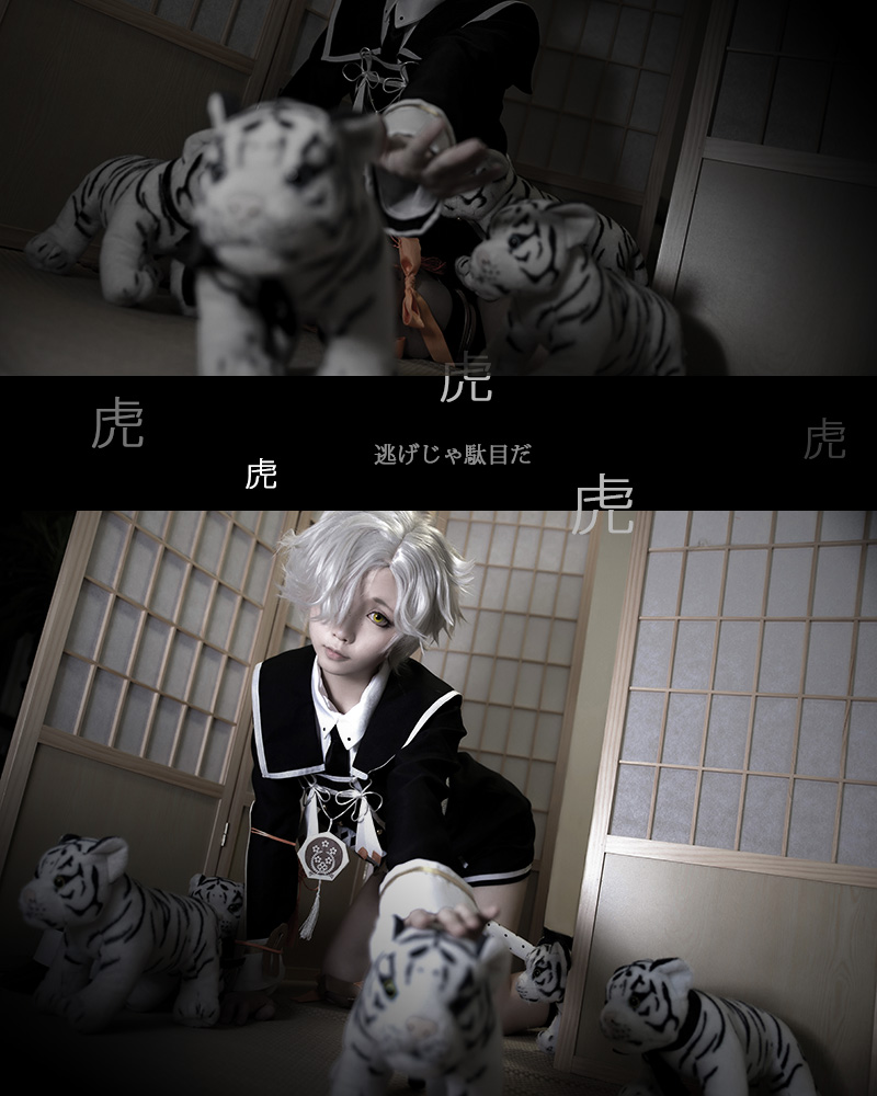 Star's Delay to December 22, Coser Hoshilly BCY Collection 4(94)